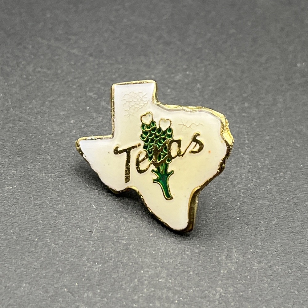 Texas State Outline Lapel Hat Pin Bluebonnet Gold Tone Vintage Souvenir PWI
